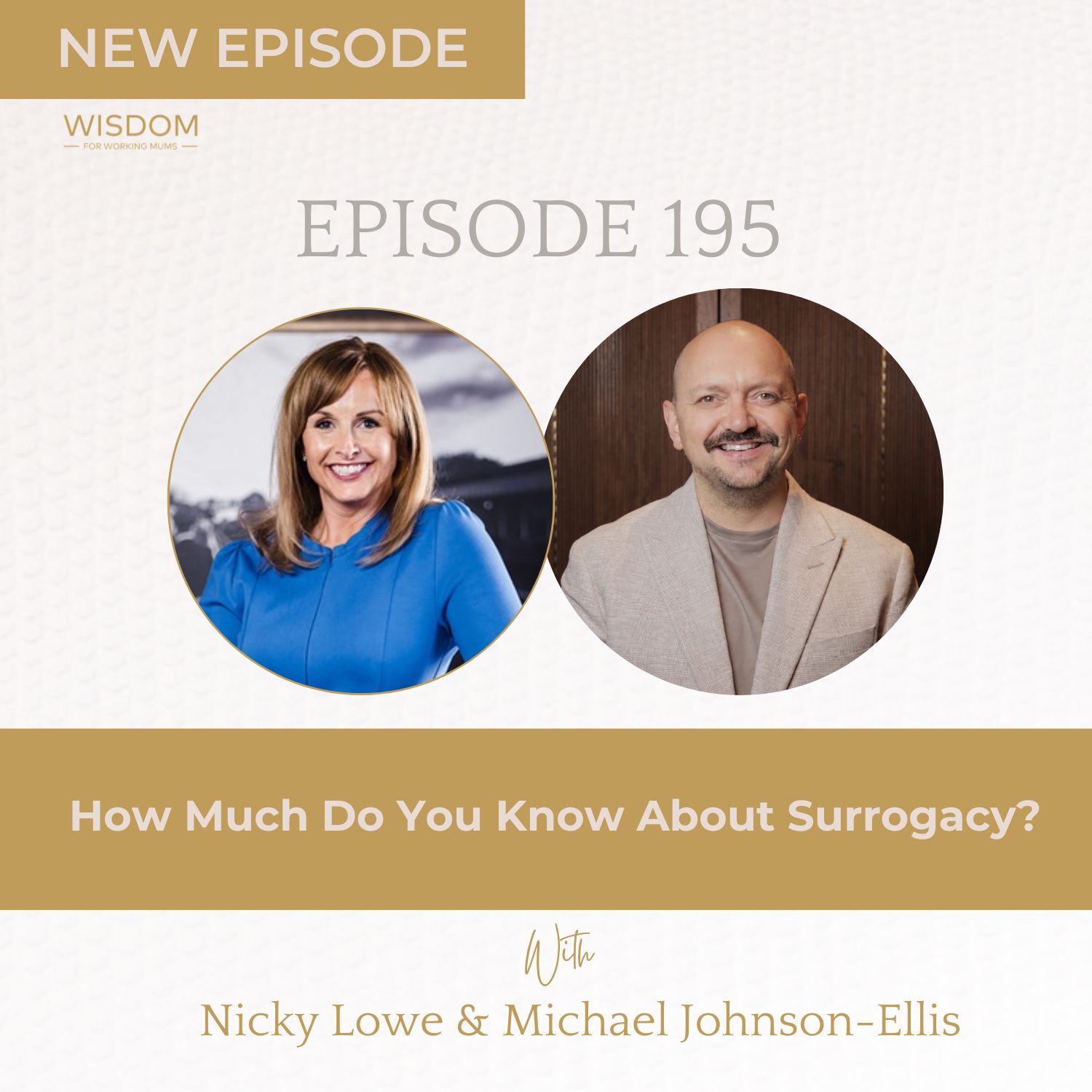 Surrogacy in the Workplace with Michael Johnson Ellis | Wisdom For Working Mums